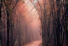 [图]欧冠-凯恩传射 拜仁2-0勒沃库森总分5-0进8强.