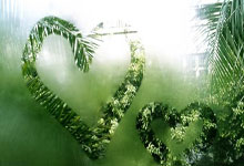 近期战绩不佳，女网世界第六保利尼宣布更换教练.