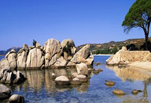 九游体育：费尔明：巴萨不是欧冠夺冠热门，但我们球队的实.